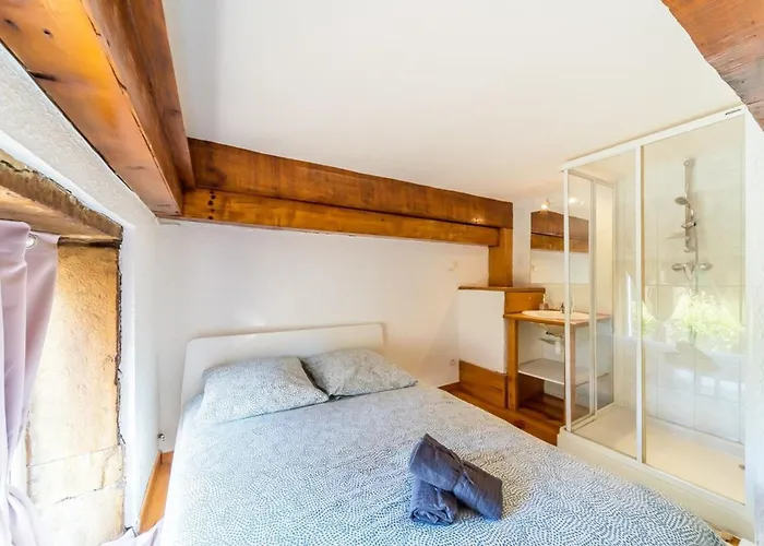 The Charming Fleury 2 Bedrooms Appartement