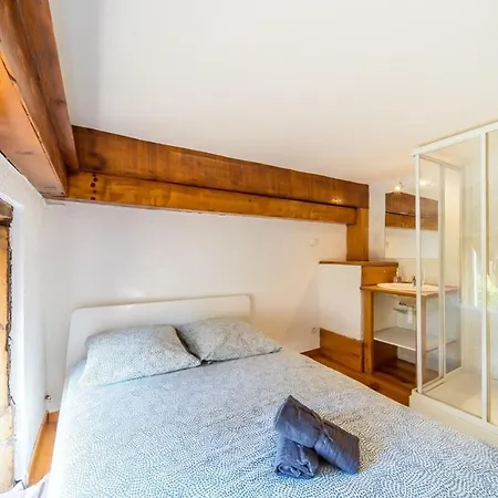 The Charming Fleury 2 Bedrooms Apartment Oullins